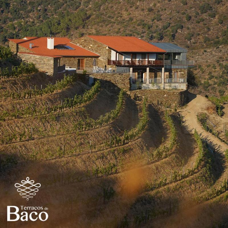 Terracos De Baco Villa Ribalonga Eksteriør billede